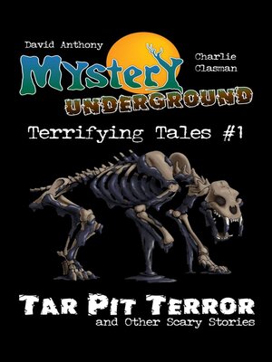 cover image of Mystery Underground